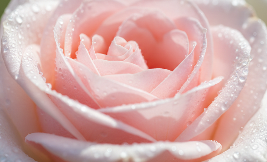 Purifying Foam Cleanser