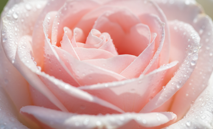 Purifying Foam Cleanser