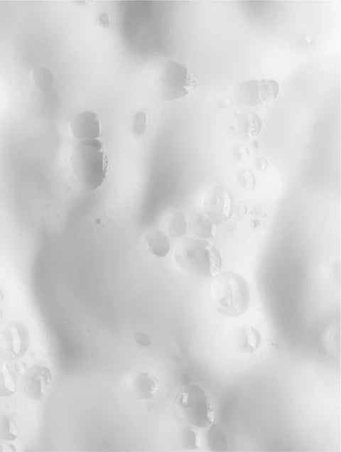 Purifying Foam Cleanser